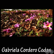 Fotografía de Gabriela Cordero Codas